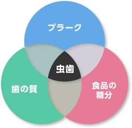 虫歯の原因